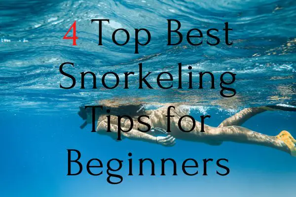 4 Top Best Snorkeling Tips for Beginners