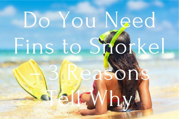 Do You Need Fins to Snorkel – 3 Reasons Tell Why