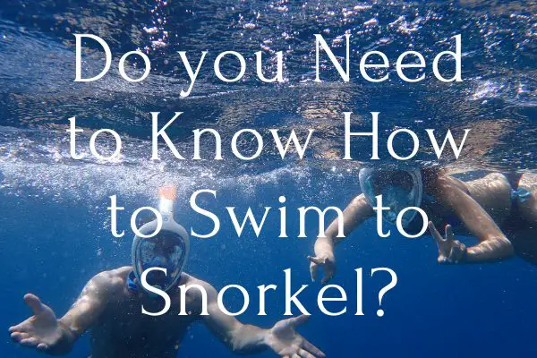 How to swim to snorkel