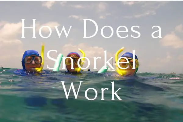 How Does a Snorkel Work
