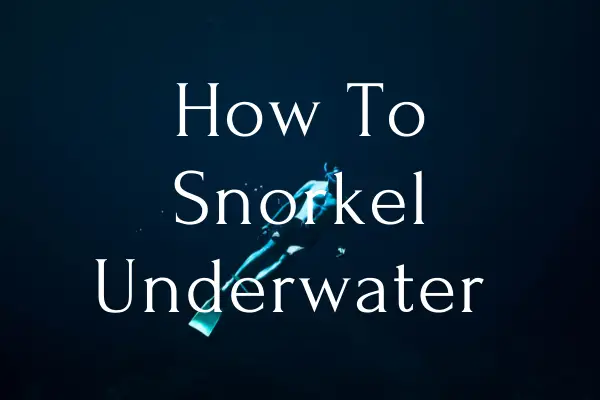 How To Snorkel Underwater