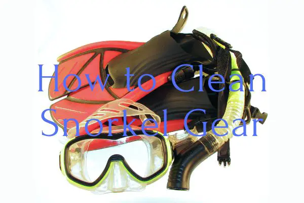 How to Clean Snorkel Gear with Simply the Best Practices