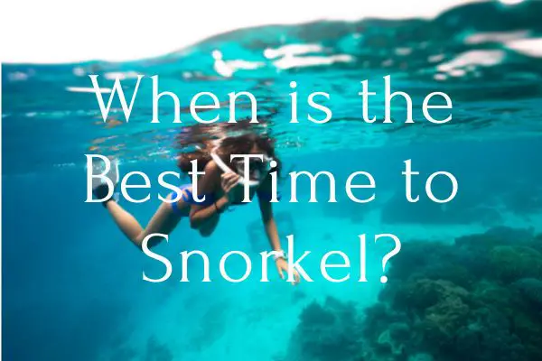 When is the Best Time to Snorkel
