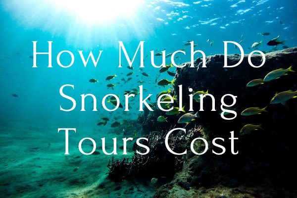 How Much Do Snorkeling Tours Cost