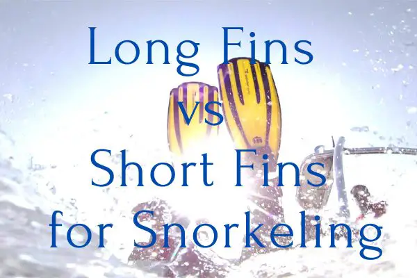 Long Fins vs Short Fins for Snorkeling