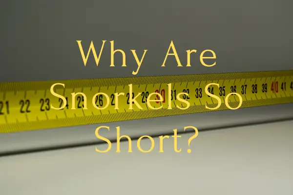 Why Are Snorkels So Short