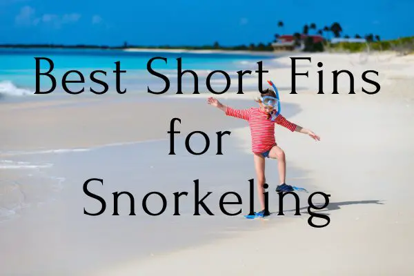 Best Short Fins for Snorkeling