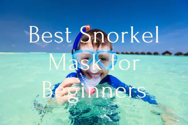Best Snorkel Mask for Beginners