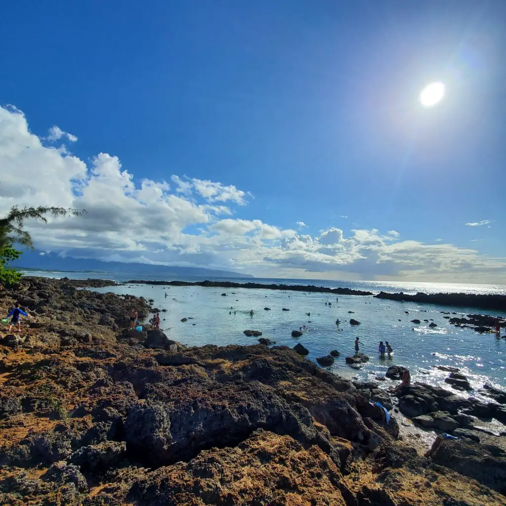 Pūpūkea Beach Park -- Best Beaches to Snorkel in Oahu