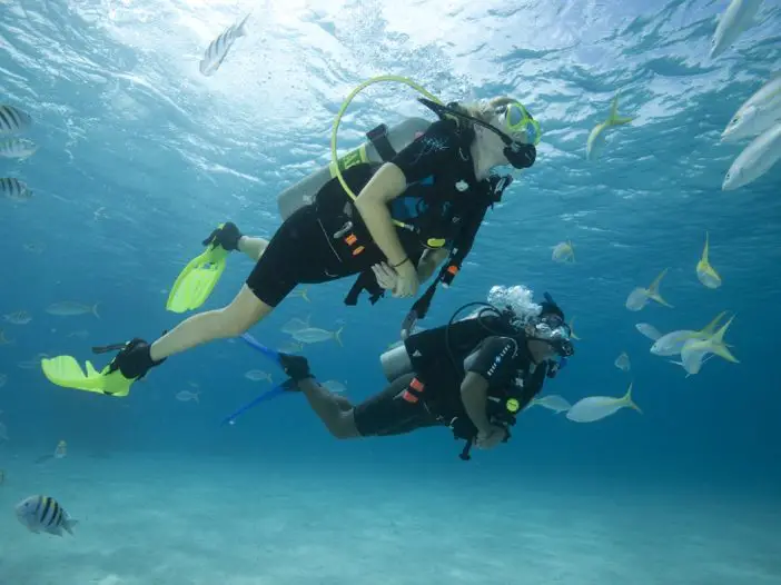 Best Places for Scuba Diving in Florida