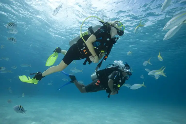 Top 9 Best Places for Scuba Diving in Florida