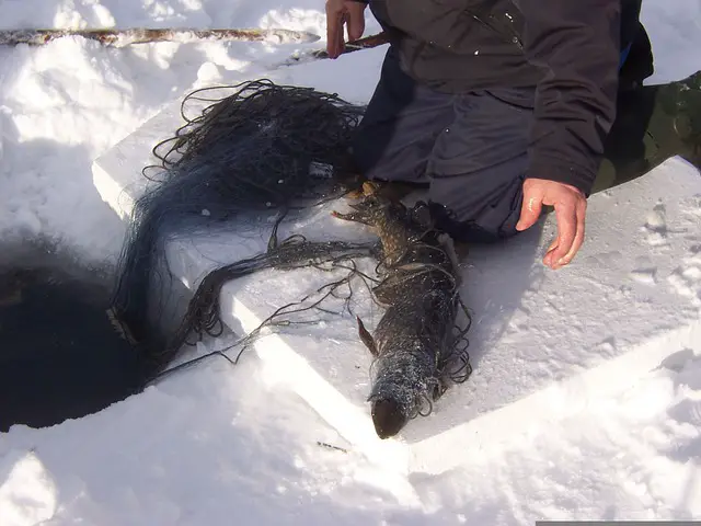 How to Ice Fish for Pike Just Like a Pro Angler!
