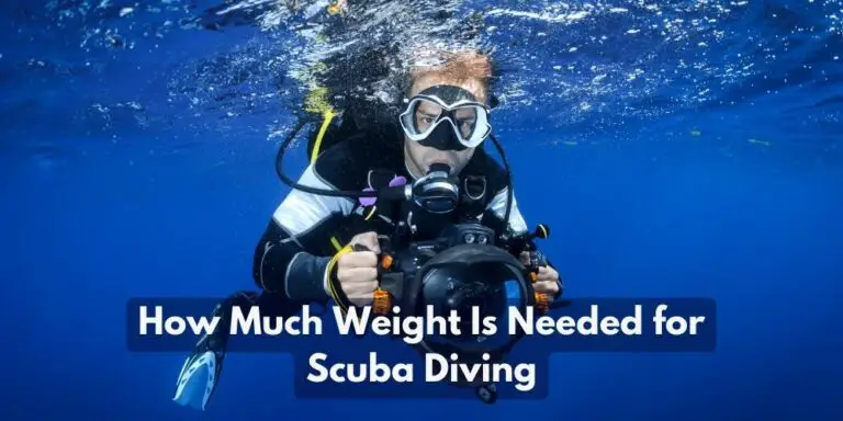 How Much Weight Is Needed for Scuba Diving?