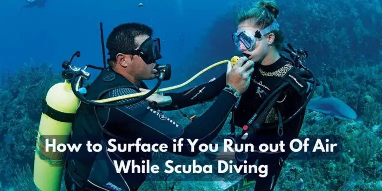 How to Surface if You Run out Of Air While Scuba Diving
