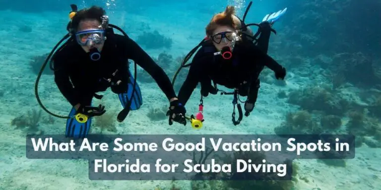 What Are Some Good Vacation Spots in Florida for Scuba Diving