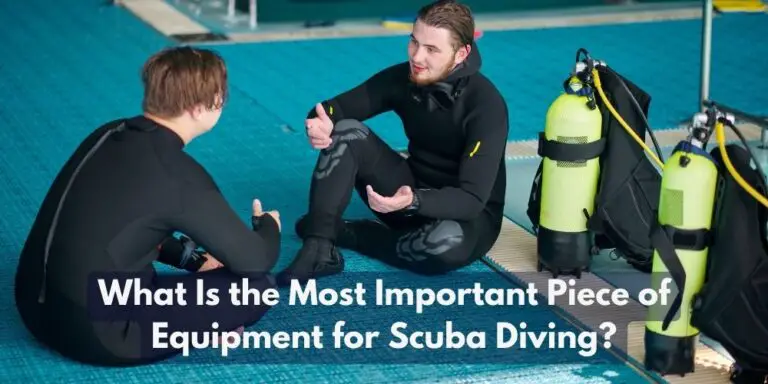 5 Essential Equipment for Scuba Diving